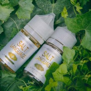 【TAMI 鹽語煙油】小煙機煙油/35ml/35mg丁鹽-蒸汽樂園電子煙